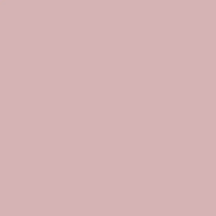 BODAQ Interior Film S207 Balm Rosé per meter