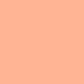 BODAQ Interior Film S213 Salmon per meter