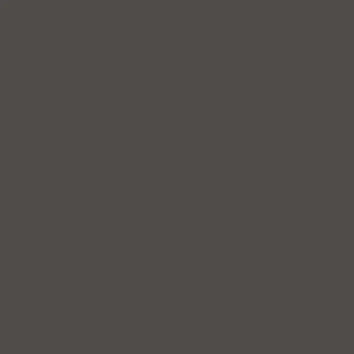 BODAQ Interior Film S259 Gray per meter